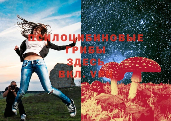 Альфа ПВП Абаза