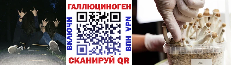 Псилоцибиновые грибы ЛСД  Приволжск 